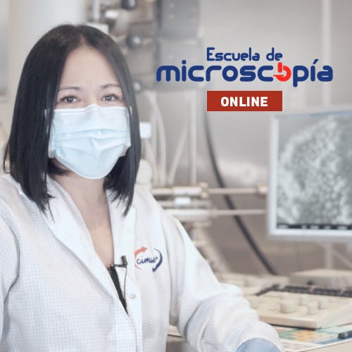 Cimav Escuela de microscopia online 2020 Molusco magiobus yosoybartsolo